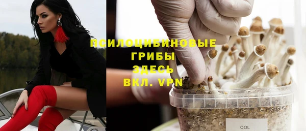 прущие крисы Баксан